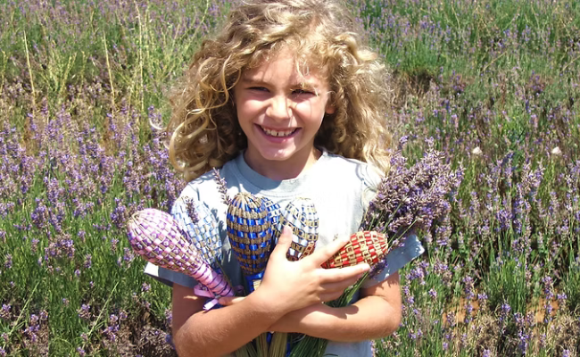 L'Âme de la Provence