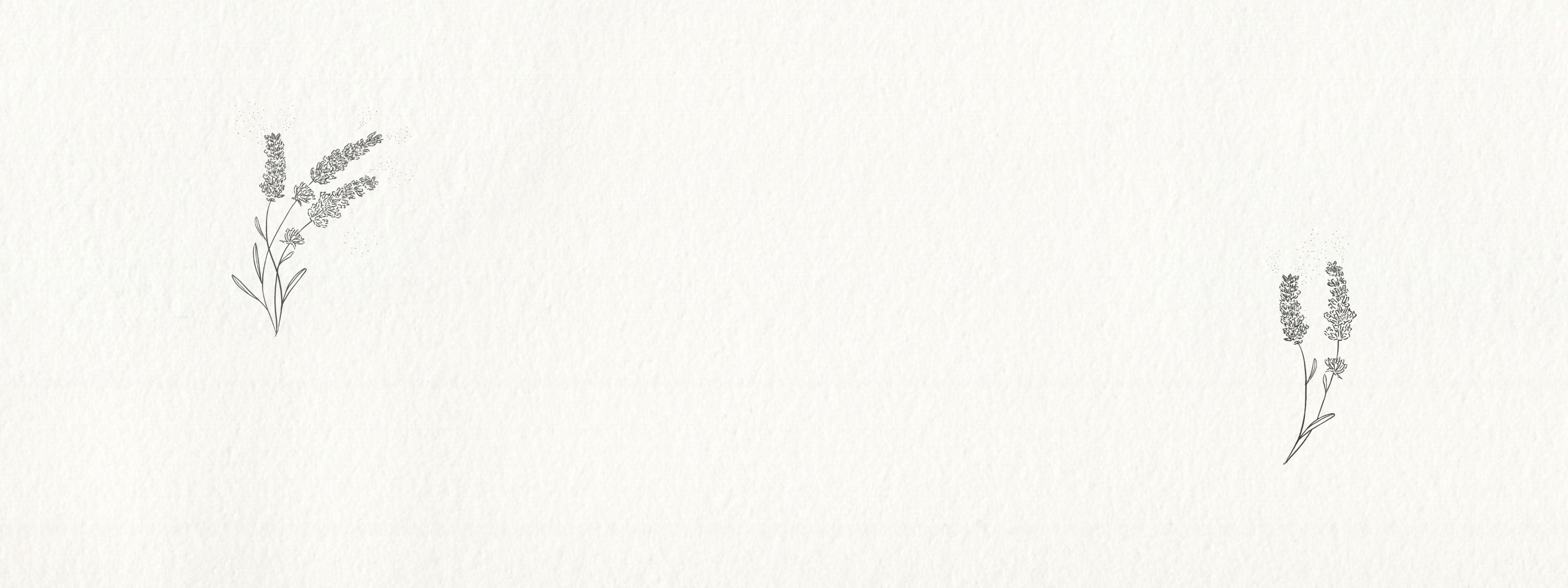 Illustrations de lavande sur fond texturé papier