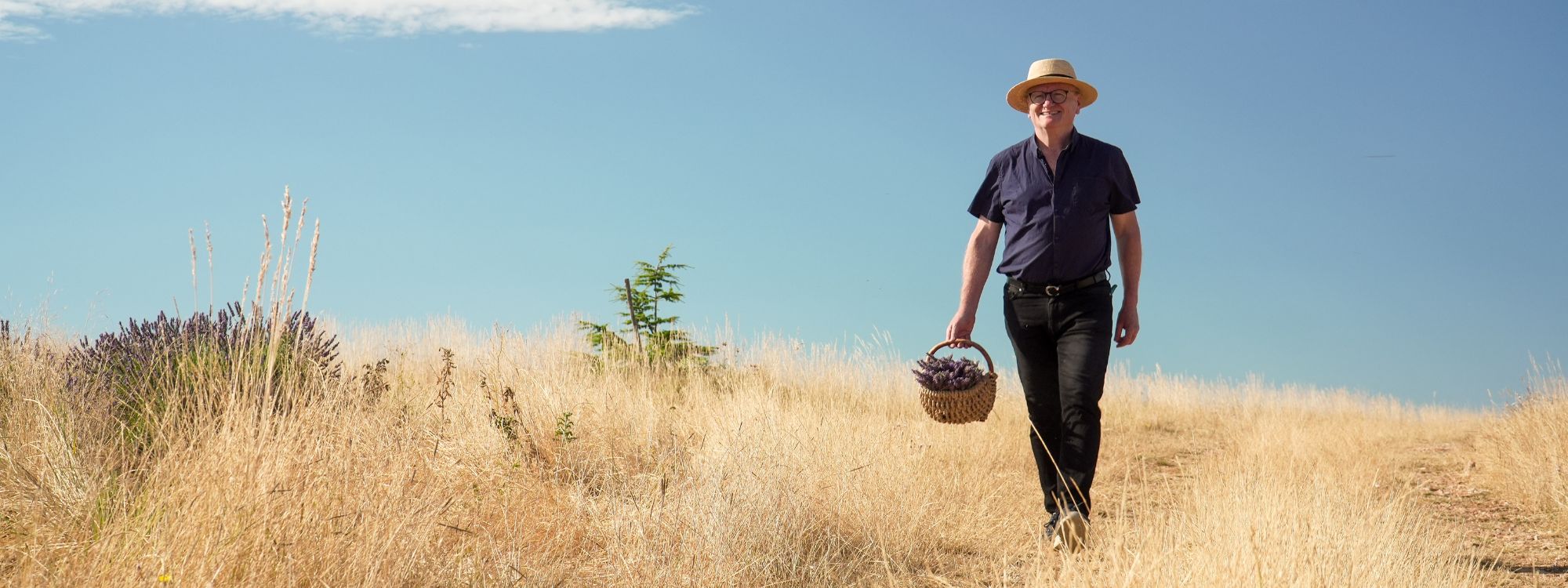 Philippe Franc dans son champs de lavande tenant un panier plein de brins de lavande