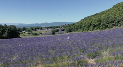 Présentation de la maison Franc 1884, fuseaux et boules de lavande